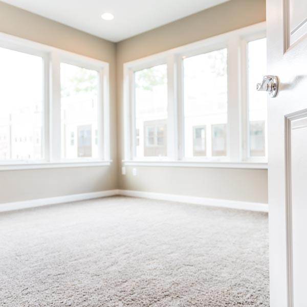 room with new carpet floor